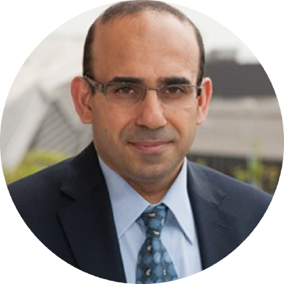 Mohamad Mohty, GvHD Hub Chair